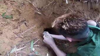 洞在线观看,揭秘神秘洞穴的奇幻之旅  第2张