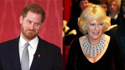 王室爆料卡米拉视频,卡米拉私密视频曝光,真相令人震惊 第1张 王室爆料卡米拉视频,卡米拉私密视频曝光,真相令人震惊 第1张